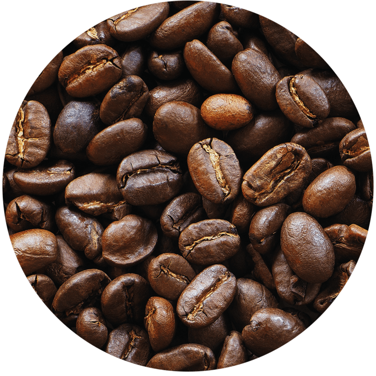 Costa Rica Tarrazu koffie kopen