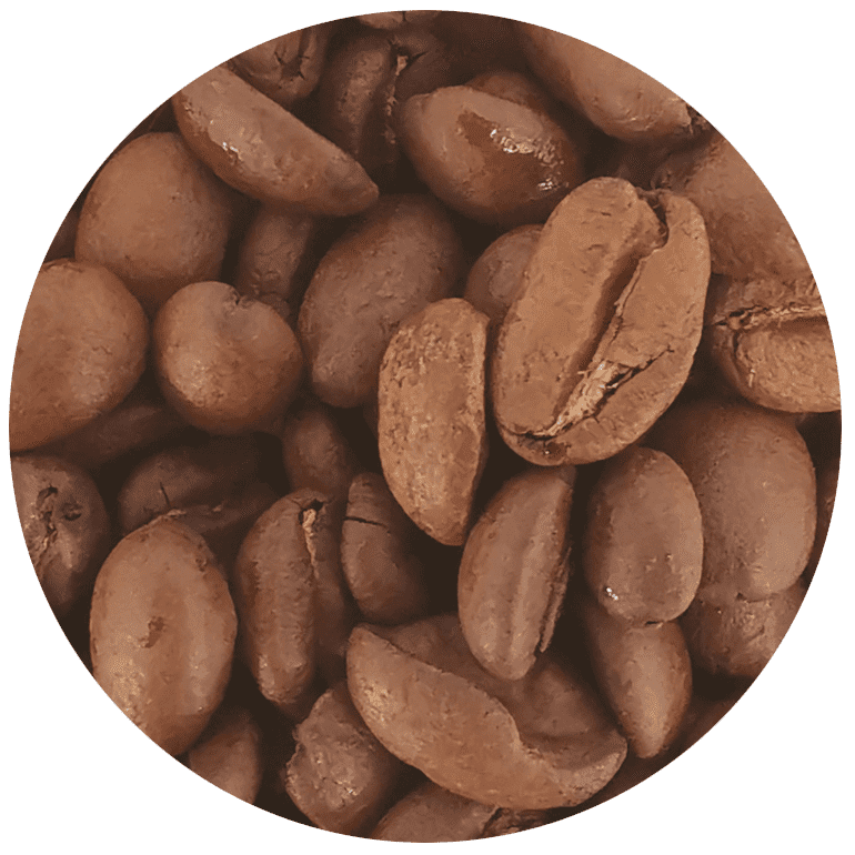 Bali Paradise verse koffie bestellen
